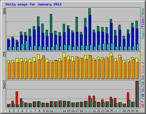 Daily usage for January 2013