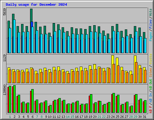 Daily usage for December 2024
