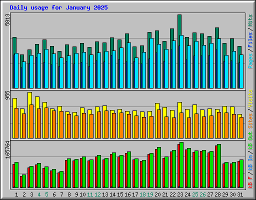 Daily usage for January 2025