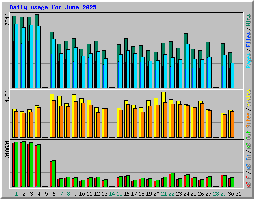 Daily usage for June 2025