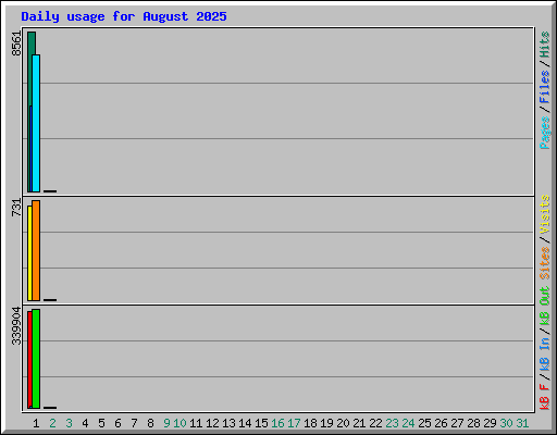 Daily usage for August 2025