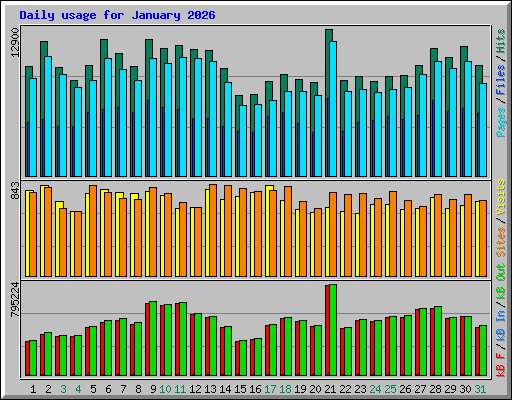 Daily usage for January 2026