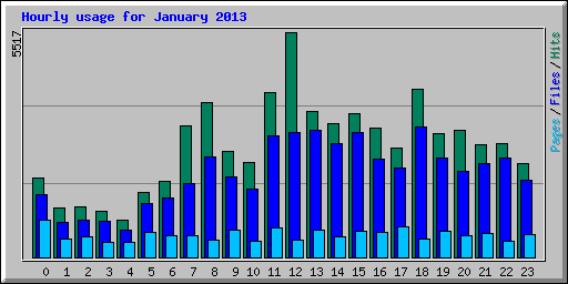 Hourly usage for January 2013