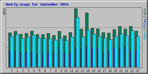 Hourly usage for September 2024