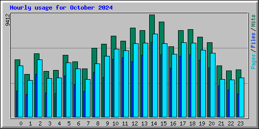 Hourly usage for October 2024