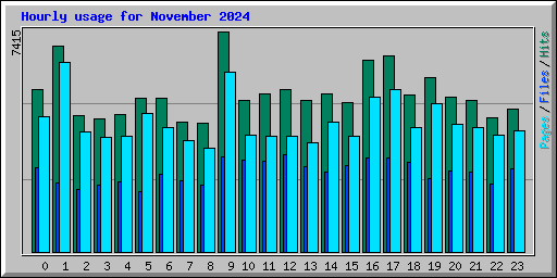 Hourly usage for November 2024
