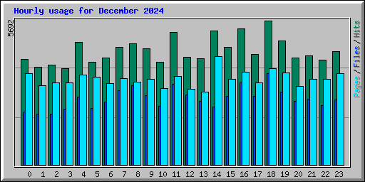 Hourly usage for December 2024