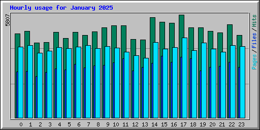 Hourly usage for January 2025