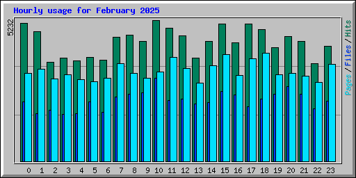 Hourly usage for February 2025