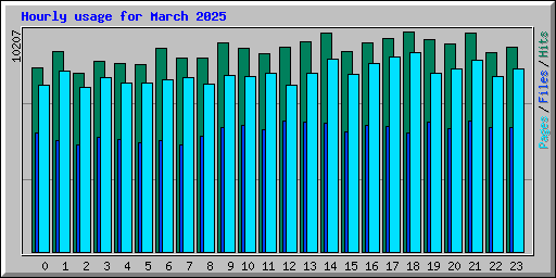 Hourly usage for March 2025