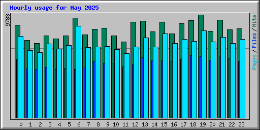 Hourly usage for May 2025