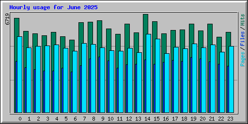Hourly usage for June 2025