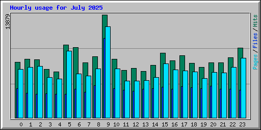 Hourly usage for July 2025