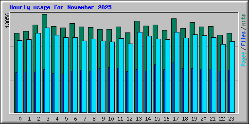 Hourly usage for November 2025