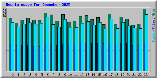 Hourly usage for December 2025