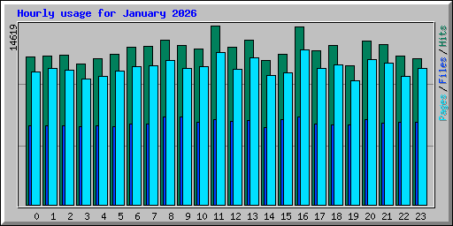 Hourly usage for January 2026