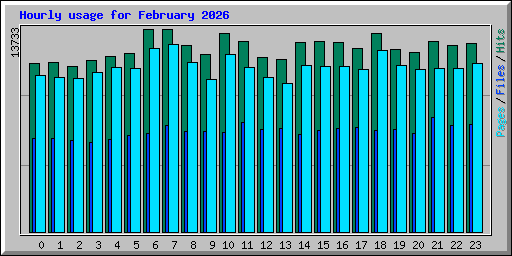Hourly usage for February 2026