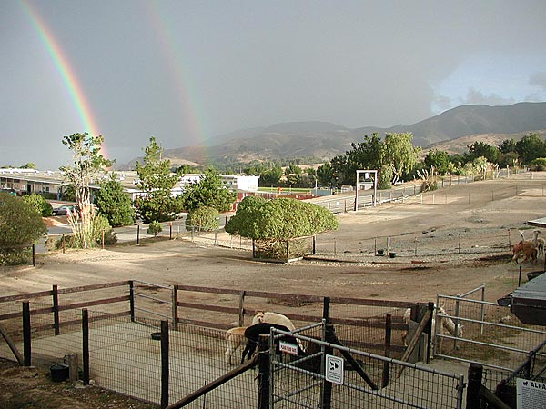 Ocean view from our pastures.