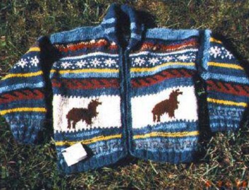 Alpaca Child’s Sweater