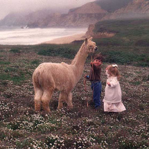Son McKinley Daughter Sunny with Suri Alpaca